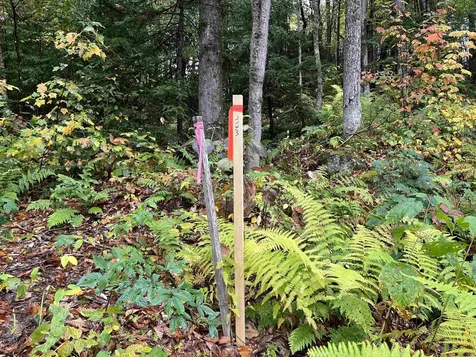 Tbd Warren Mountain Road Roxbury VT 05669