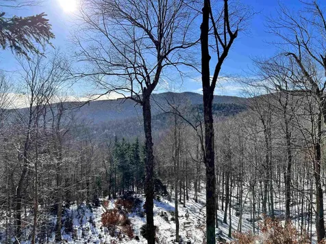 Tbd Warren Mountain Road Roxbury VT 05669