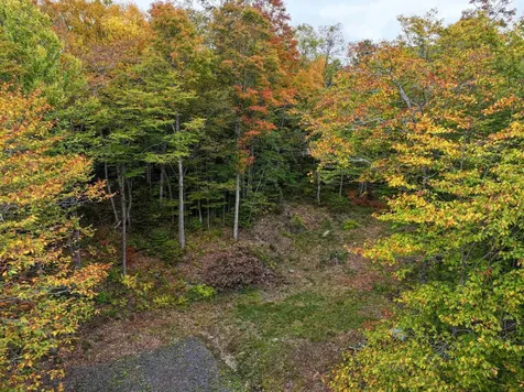 Tbd Warren Mountain Road Roxbury VT 05669