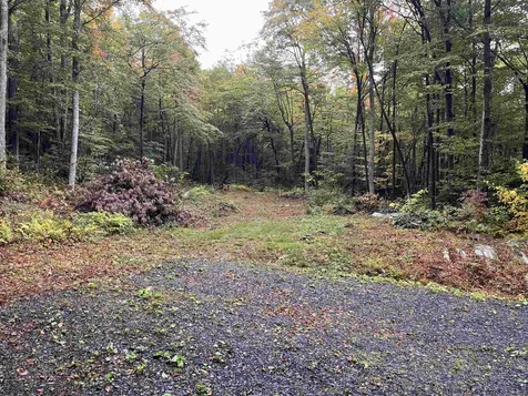 Tbd Warren Mountain Road Roxbury VT 05669