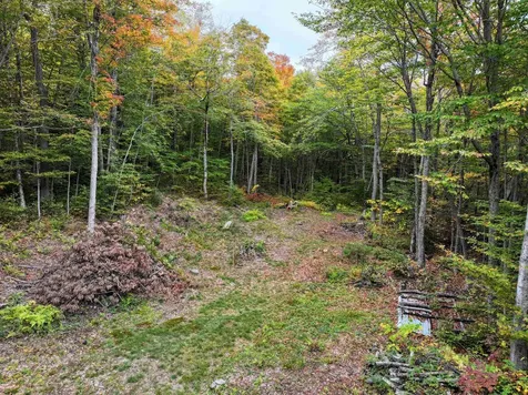 Tbd Warren Mountain Road Roxbury VT 05669