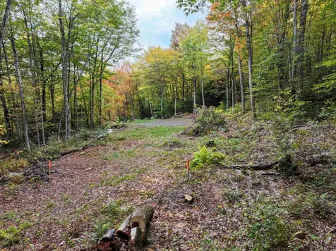 Tbd Warren Mountain Road Roxbury VT 05669