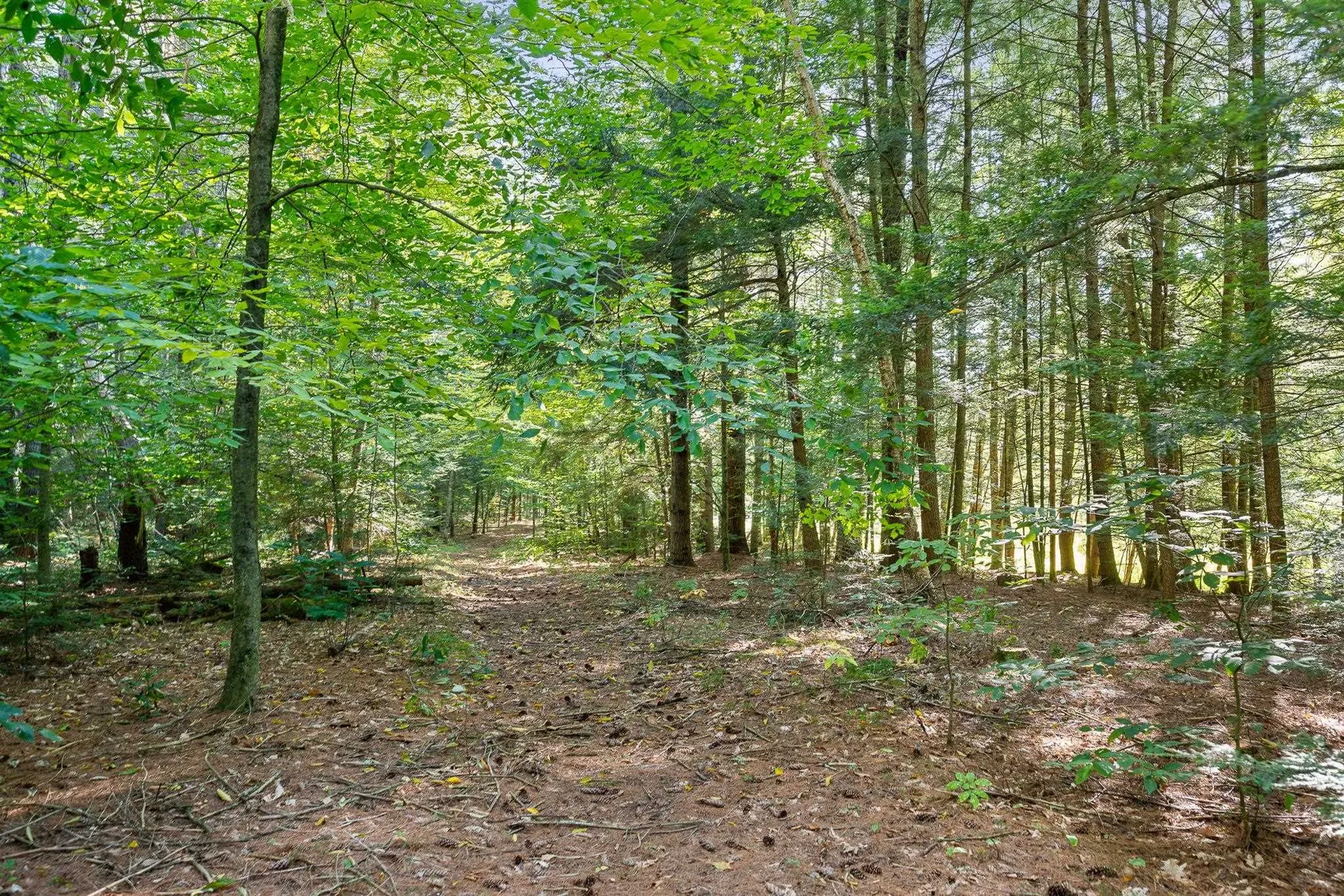 94 Beaver Brook Road Milton VT 05468
