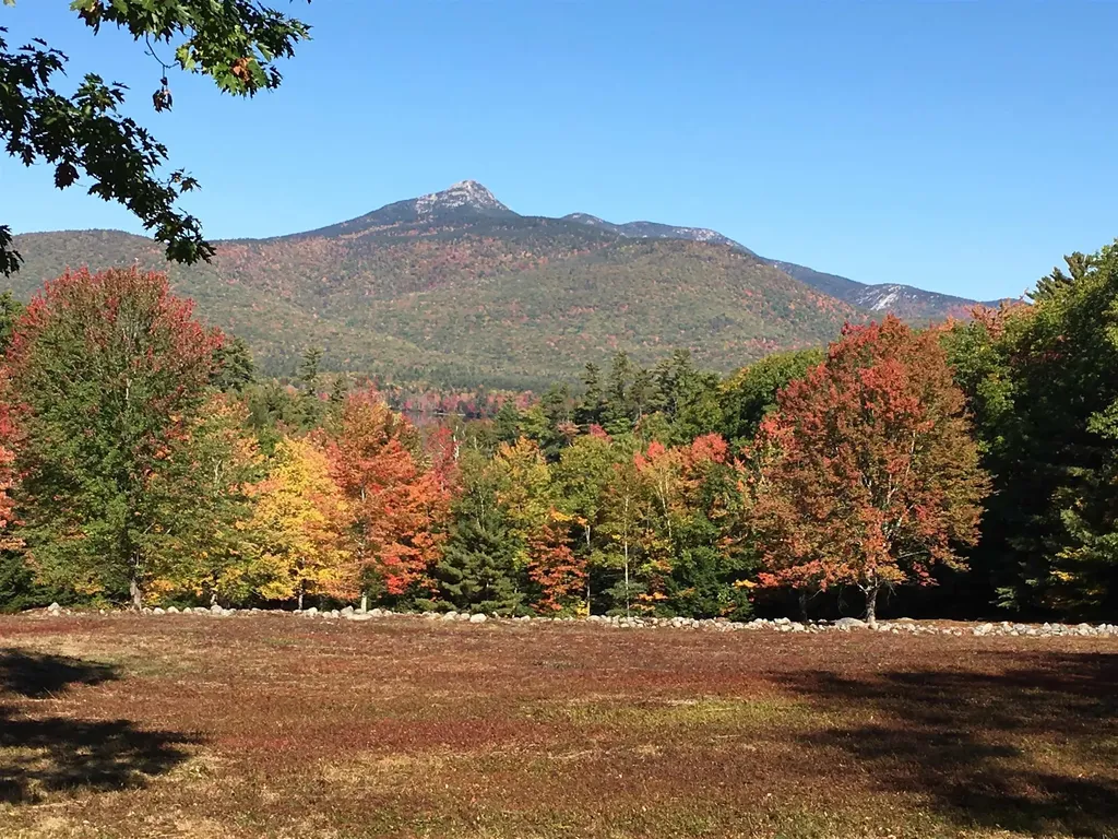 17 Amidon Lane Tamworth NH 03886