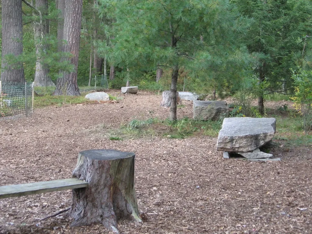 17 Amidon Lane Tamworth NH 03886