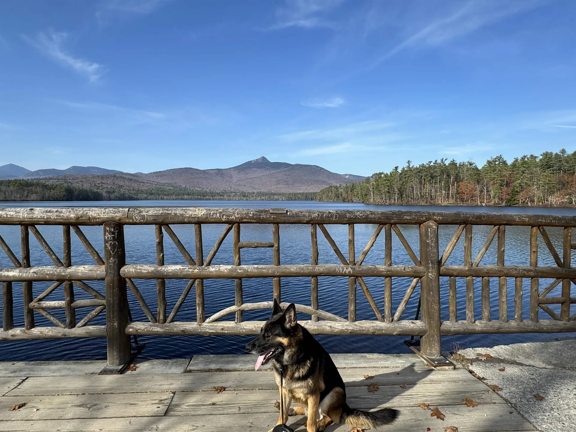 17 Amidon Lane Tamworth NH 03886