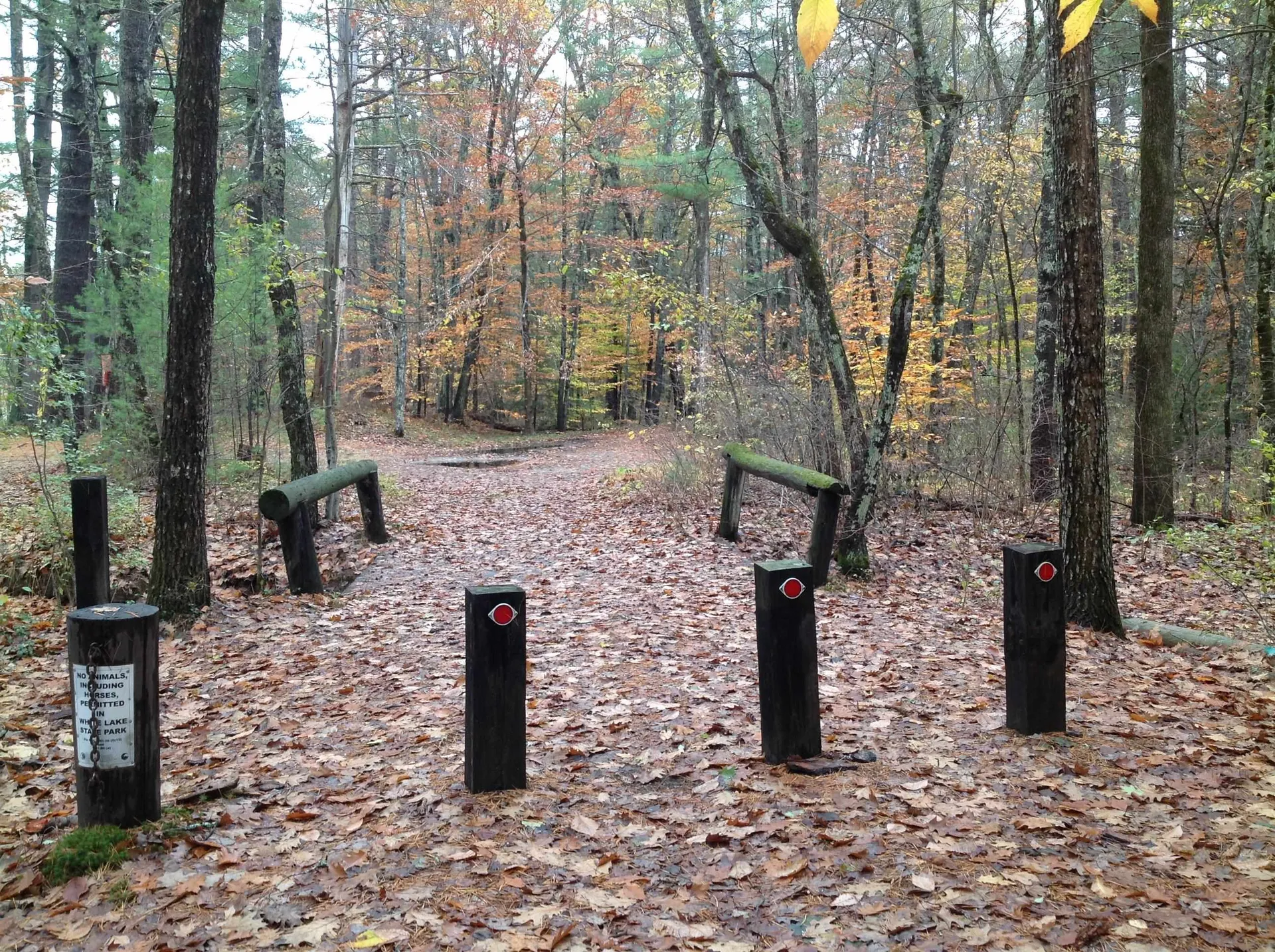 17 Amidon Lane Tamworth NH 03886