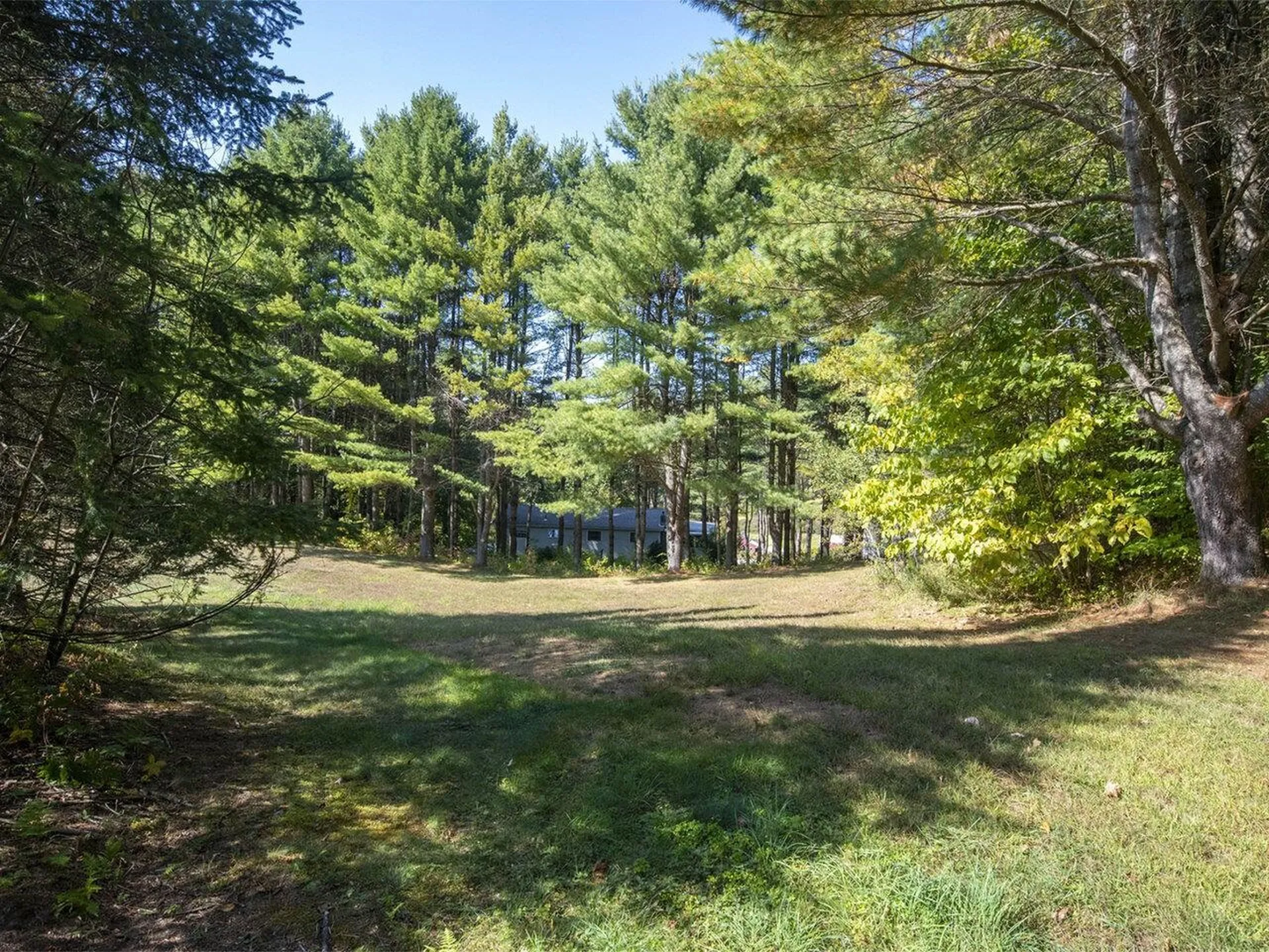 144 Osterberg Terrace Williamstown VT 05679