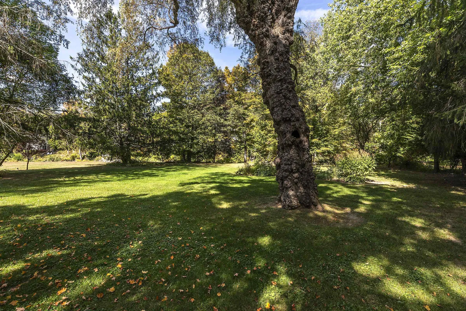 11 1/2 Church Street Woodstock VT 05091