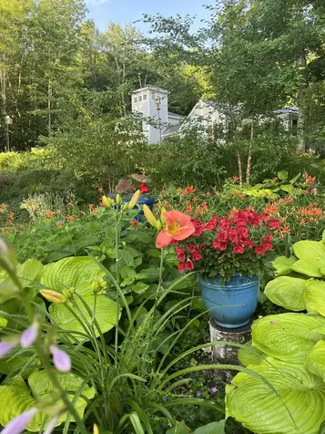 586 Bunker Road New London NH 03257