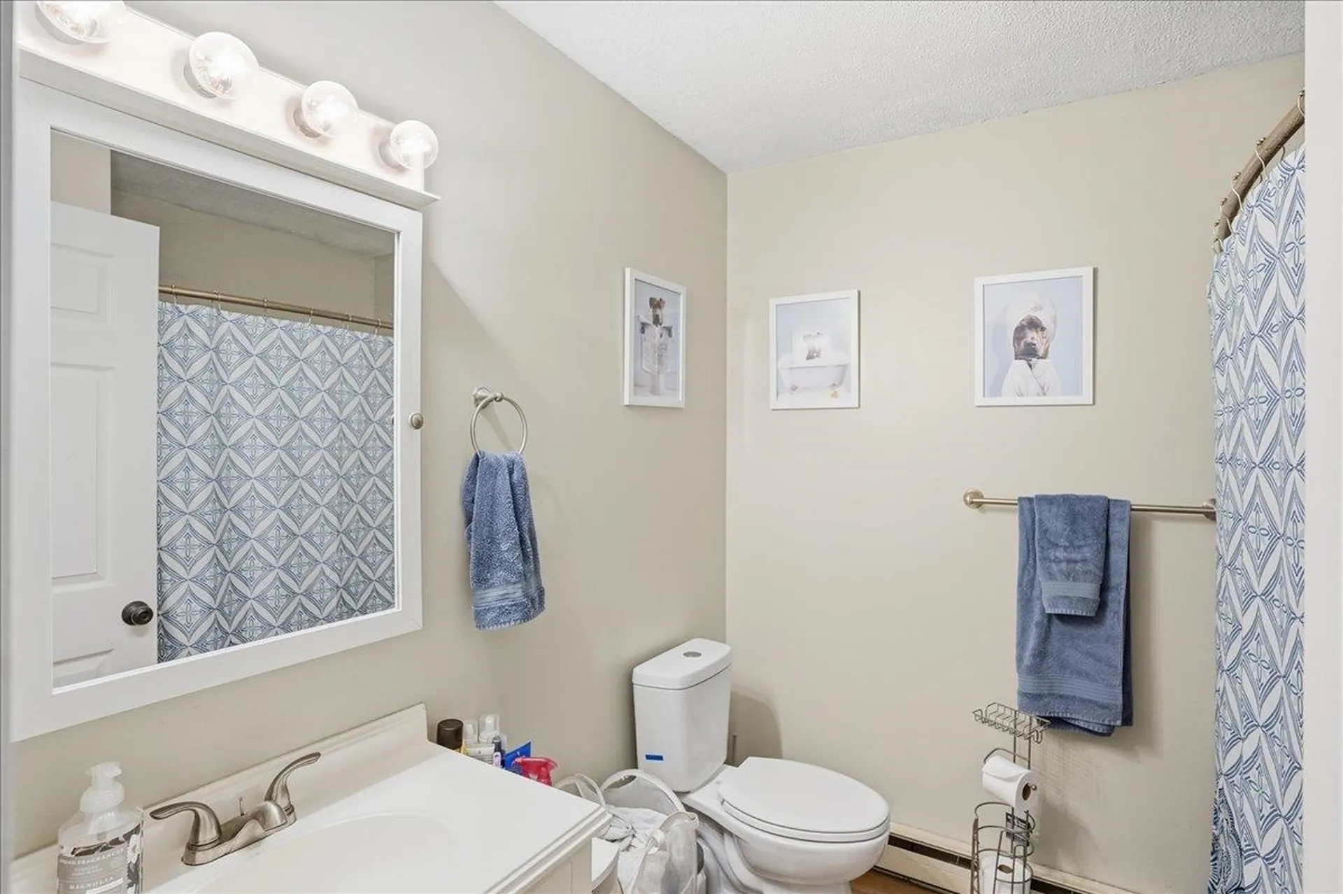 84 Twin Oaks Terrace South Burlington VT 05403