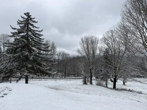 239 Ski Valley Road Waitsfield VT 05673