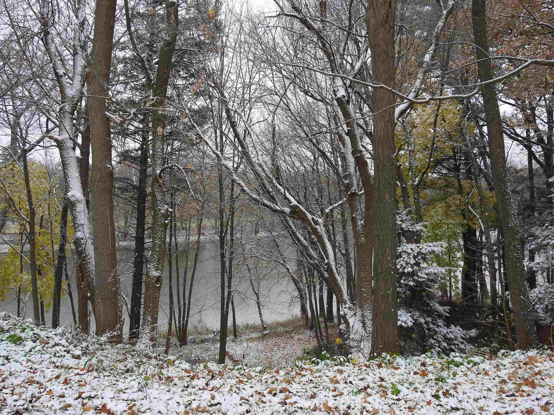 87 Spring Street Swanton VT 05488