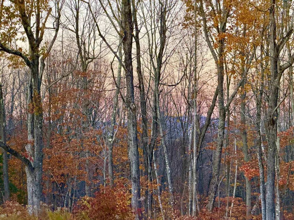 60 North Wakefield Road Wolfeboro NH 03894