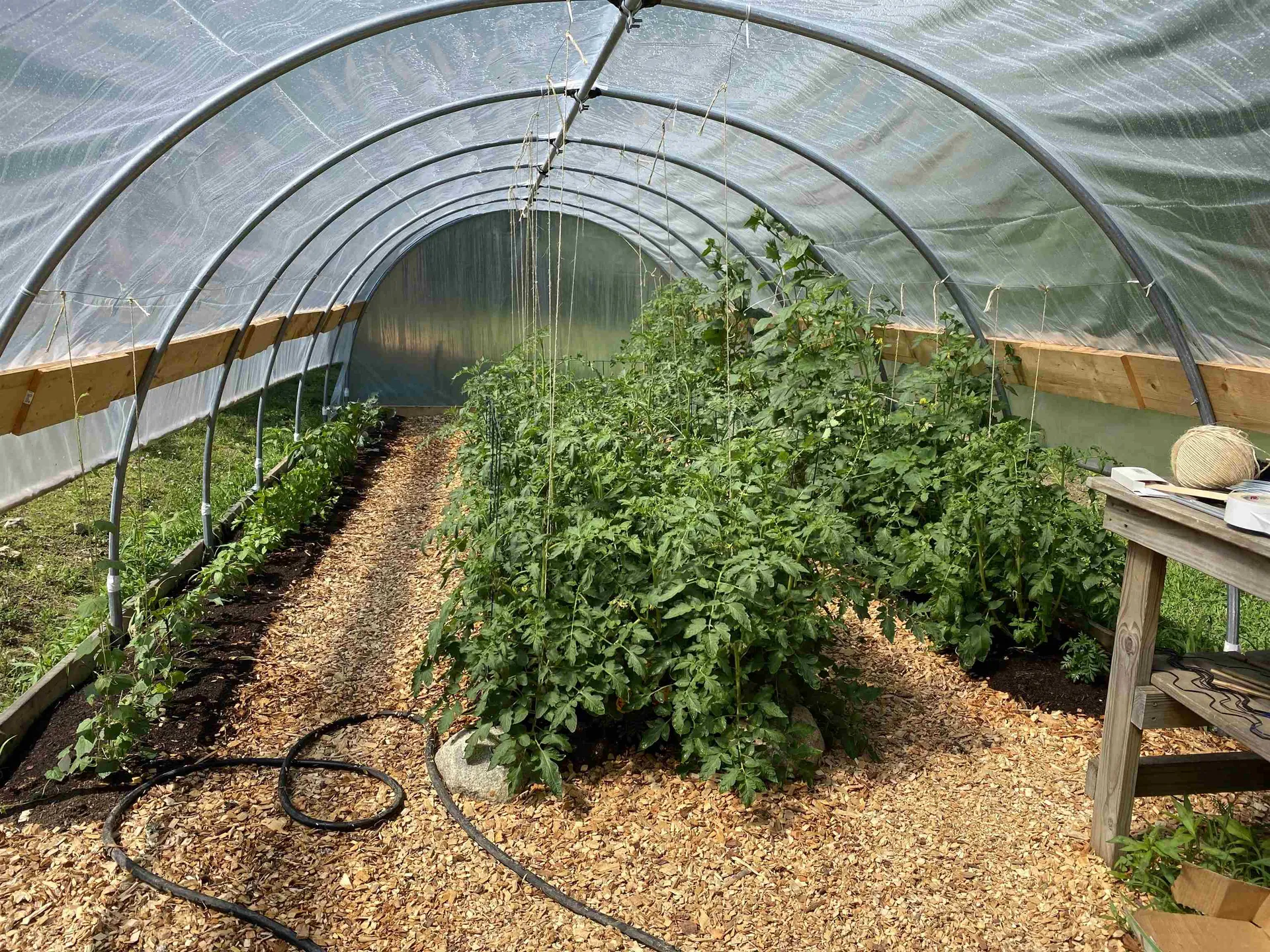 60 North Wakefield Road Wolfeboro NH 03894