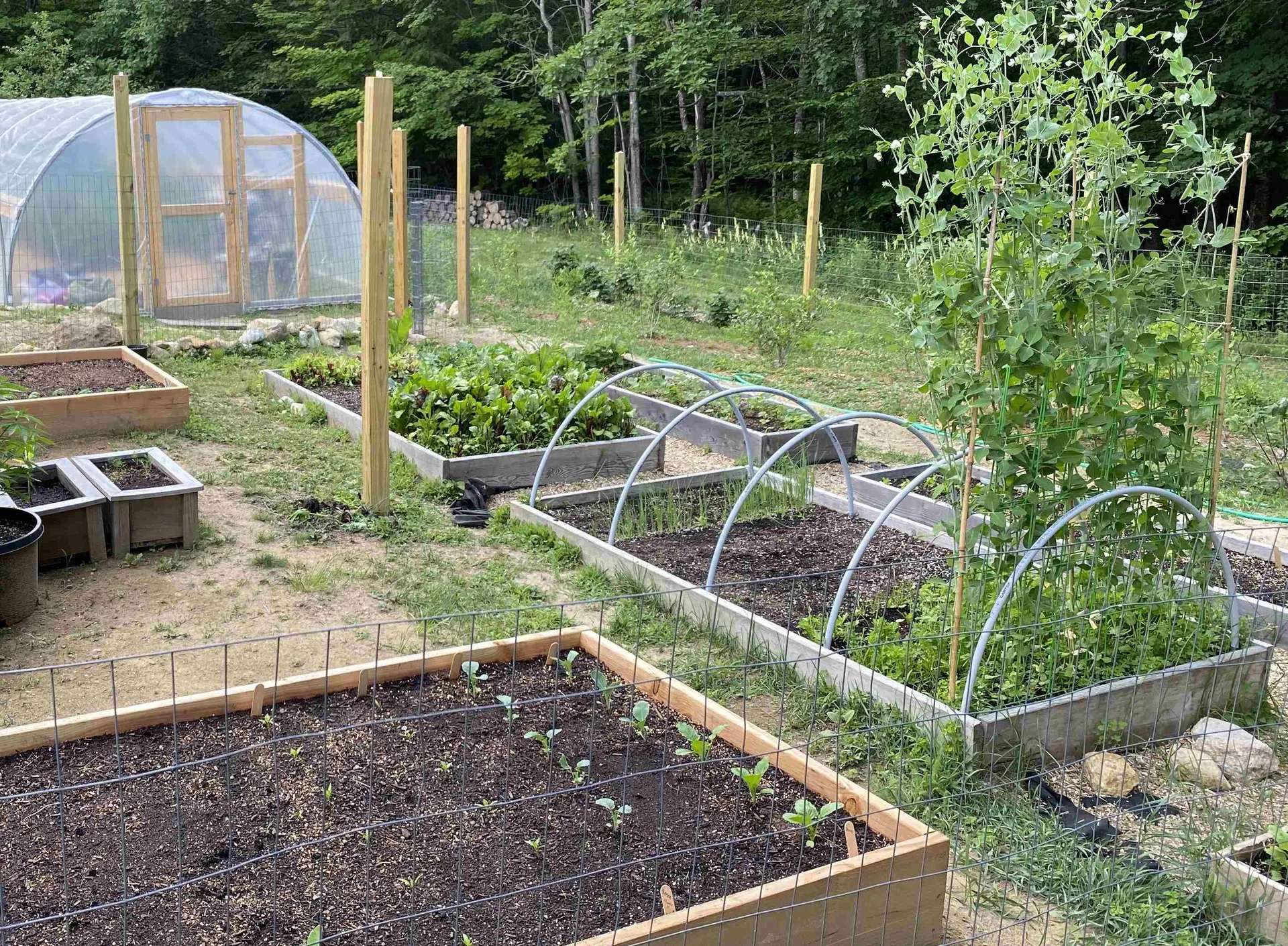 60 North Wakefield Road Wolfeboro NH 03894