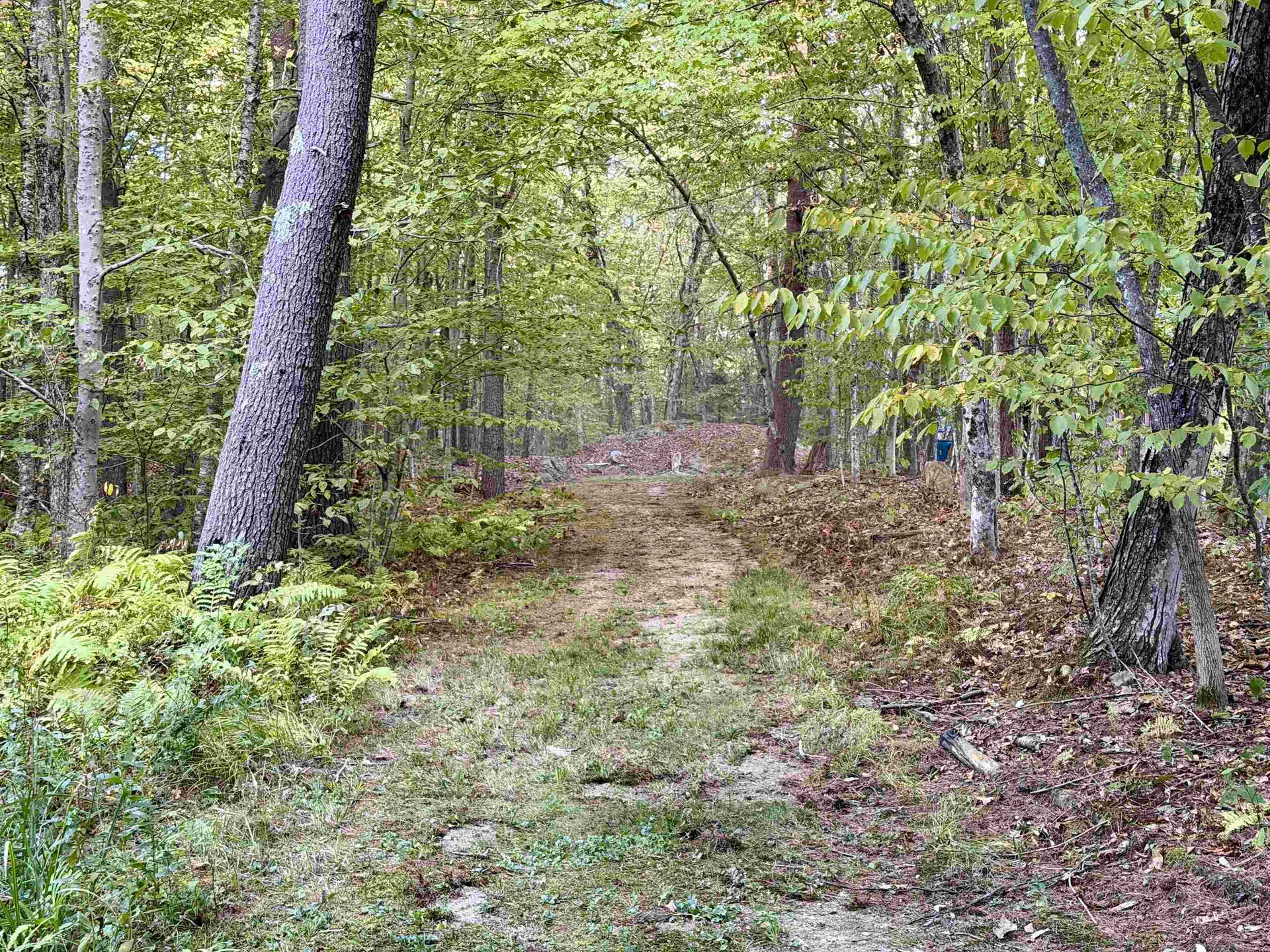 60 North Wakefield Road Wolfeboro NH 03894