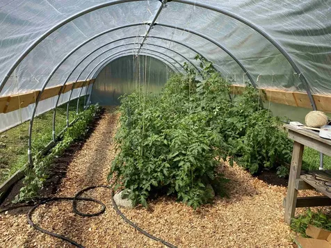 60 North Wakefield Road Wolfeboro NH 03894