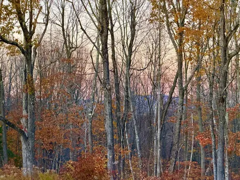 60 North Wakefield Road Wolfeboro NH 03894