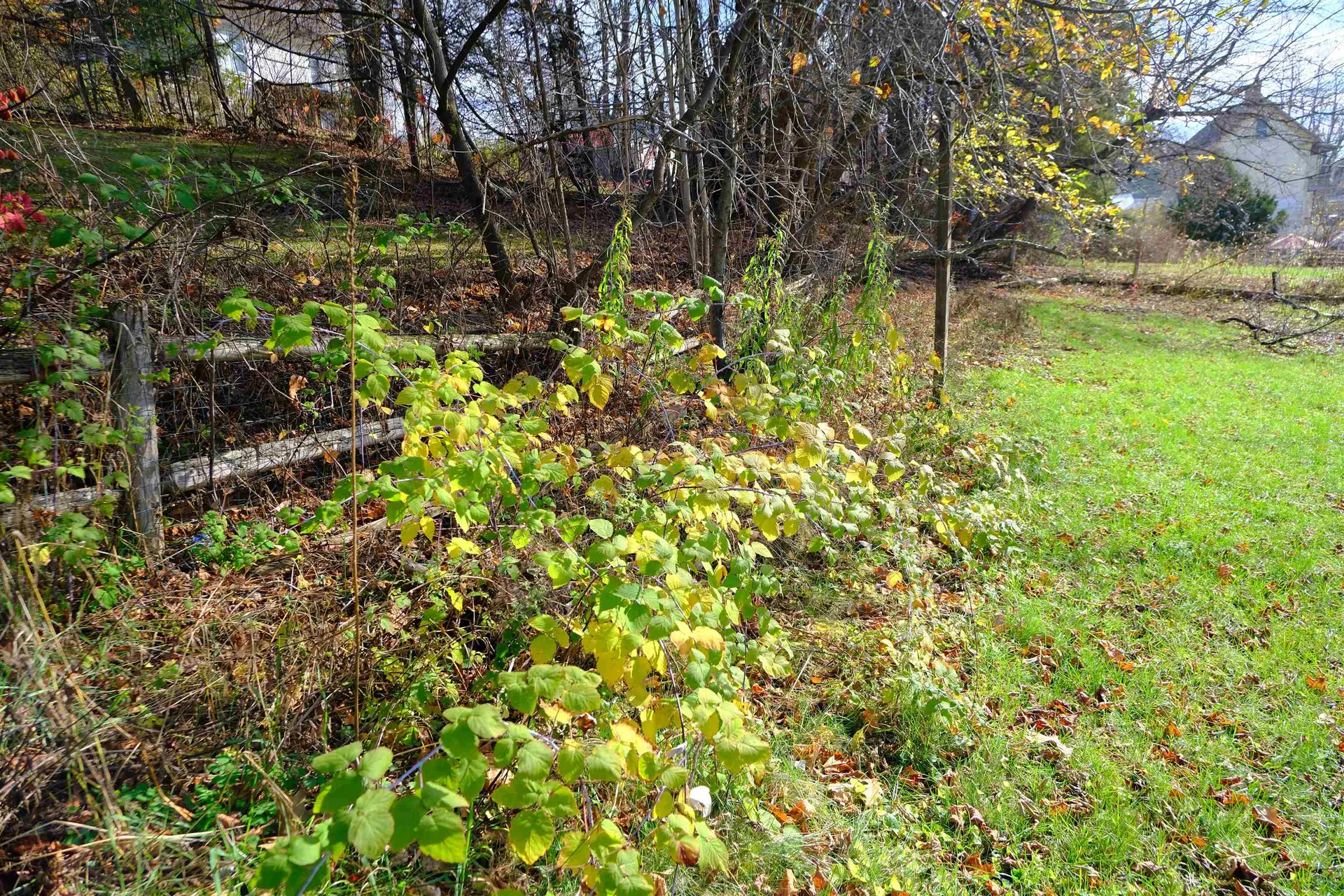 194 Charles Street Lyndon VT 05851