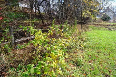 194 Charles Street Lyndon VT 05851