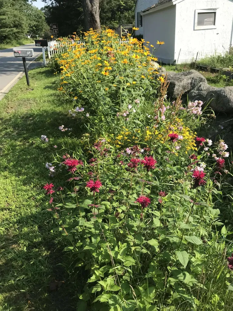 269 Branch Road Roxbury NH 03431