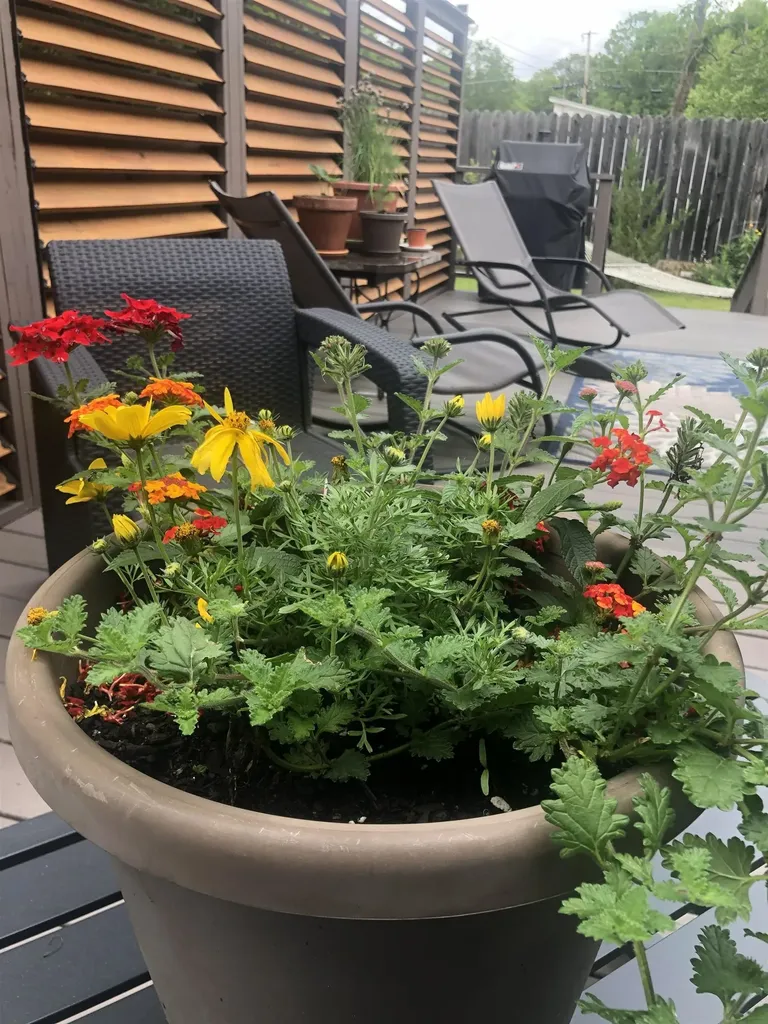 269 Branch Road Roxbury NH 03431