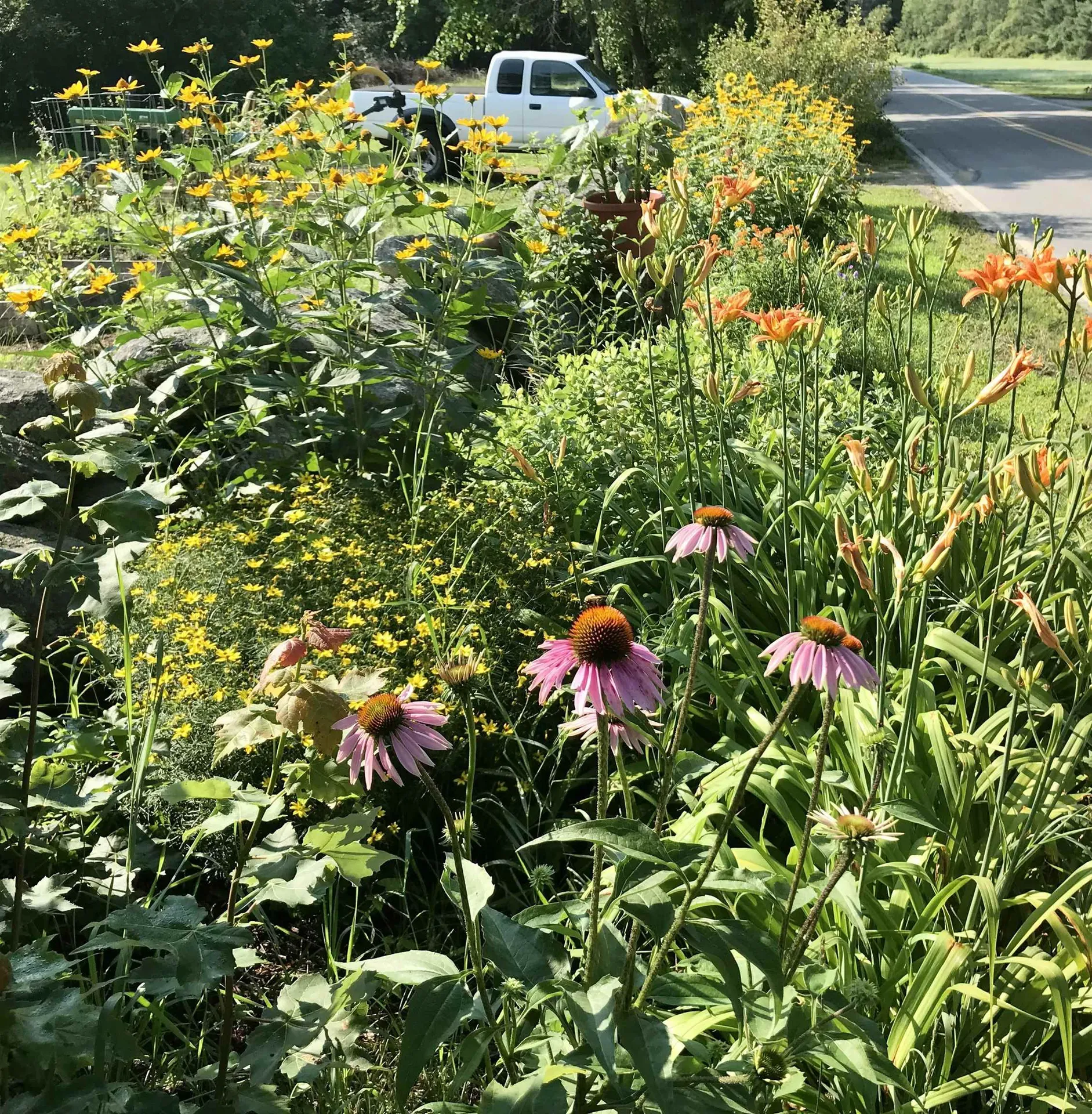 269 Branch Road Roxbury NH 03431