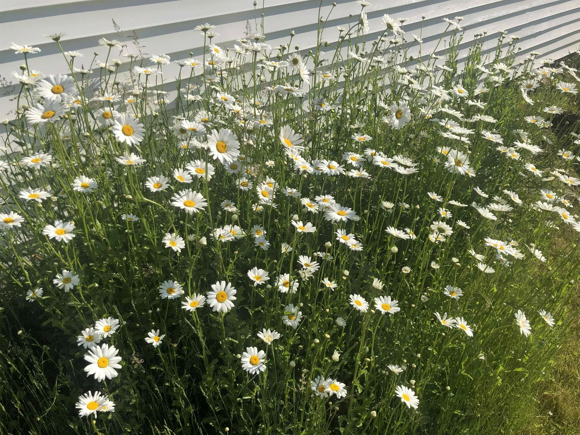 269 Branch Road Roxbury NH 03431