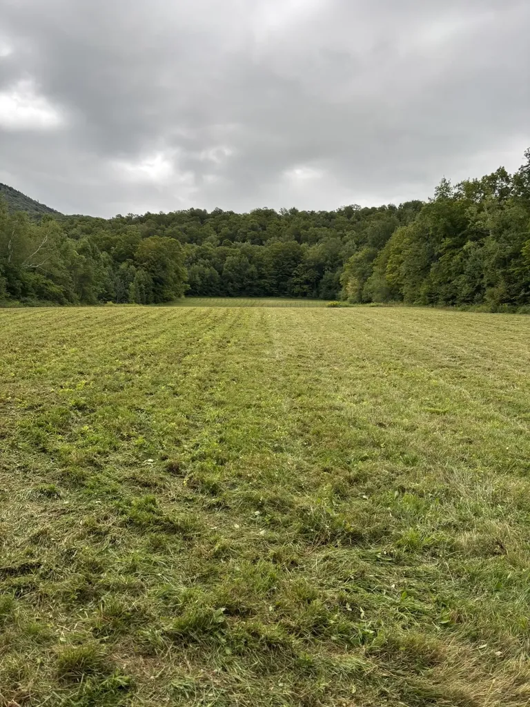 942 Route 315 Rupert VT 05768