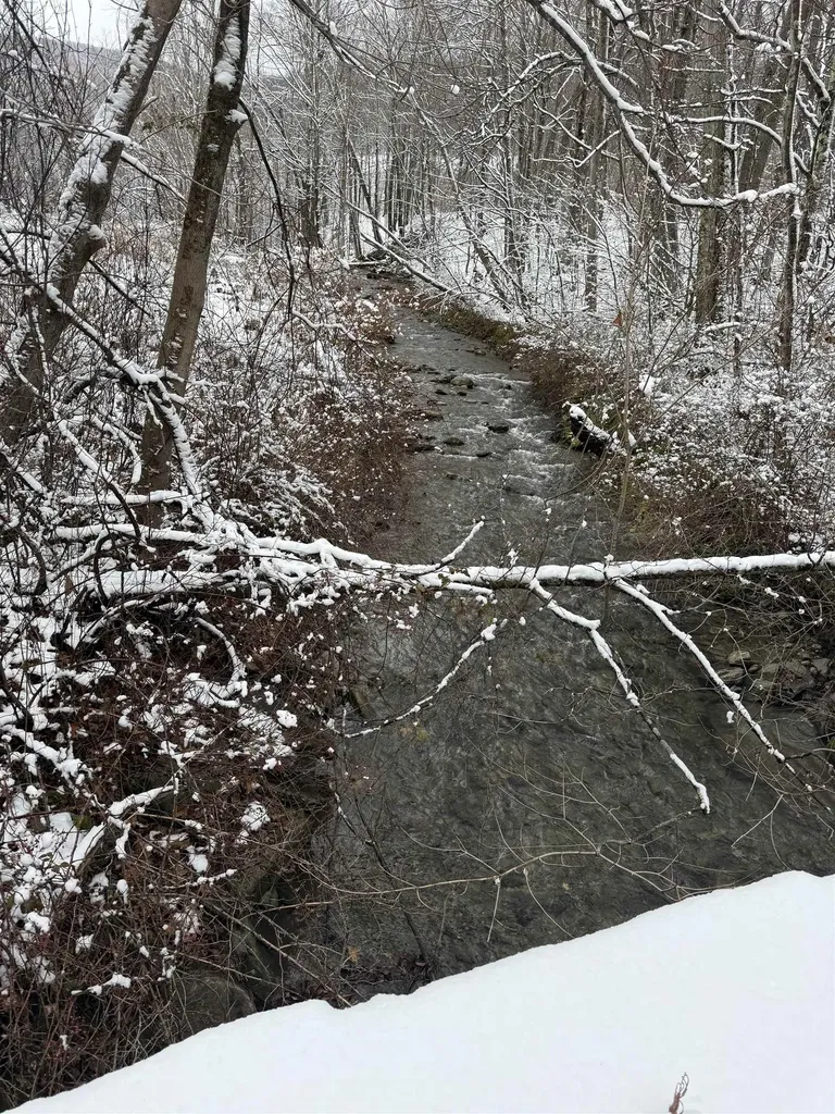 942 Route 315 Rupert VT 05768