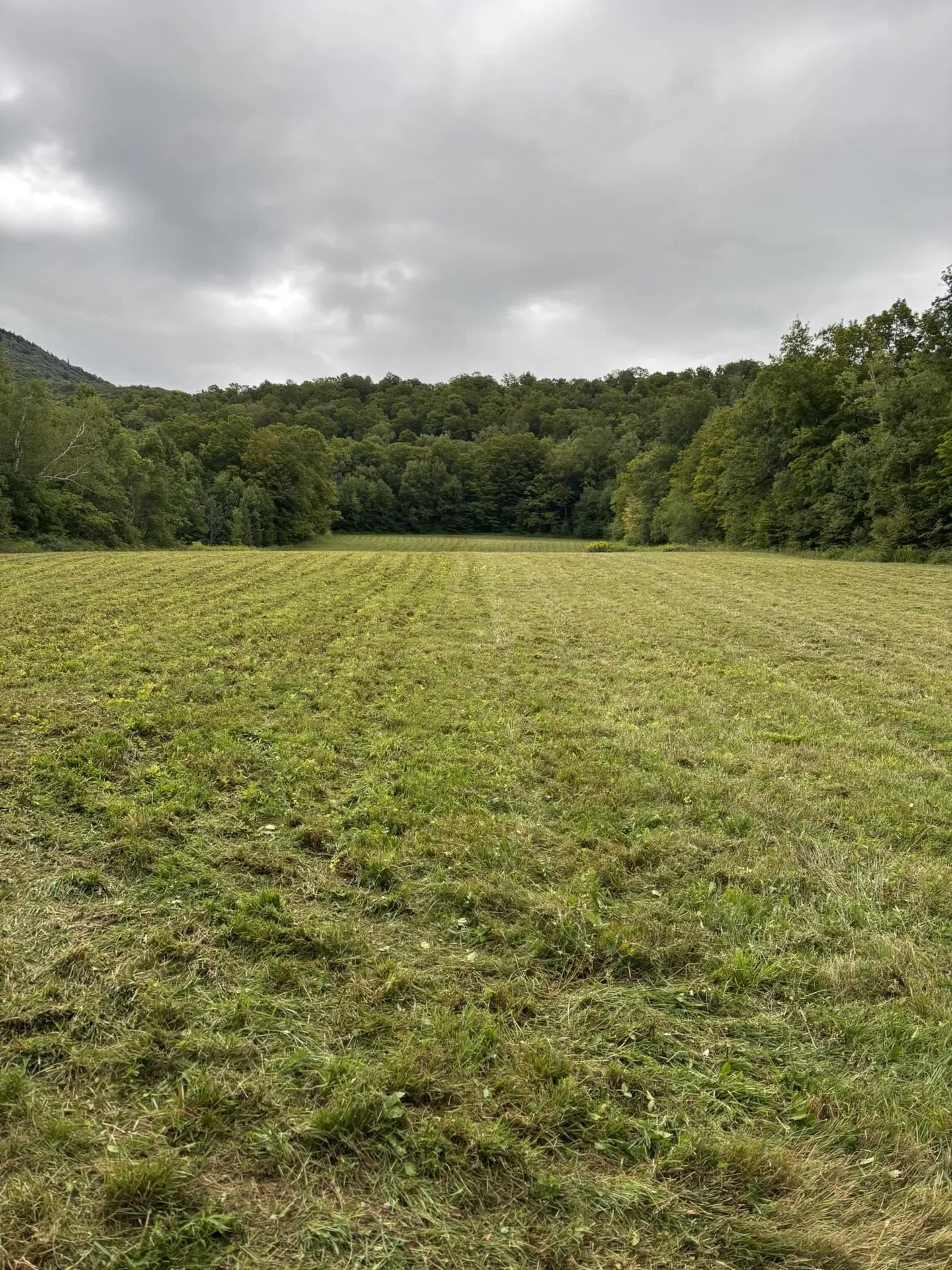 942 Route 315 Rupert VT 05768