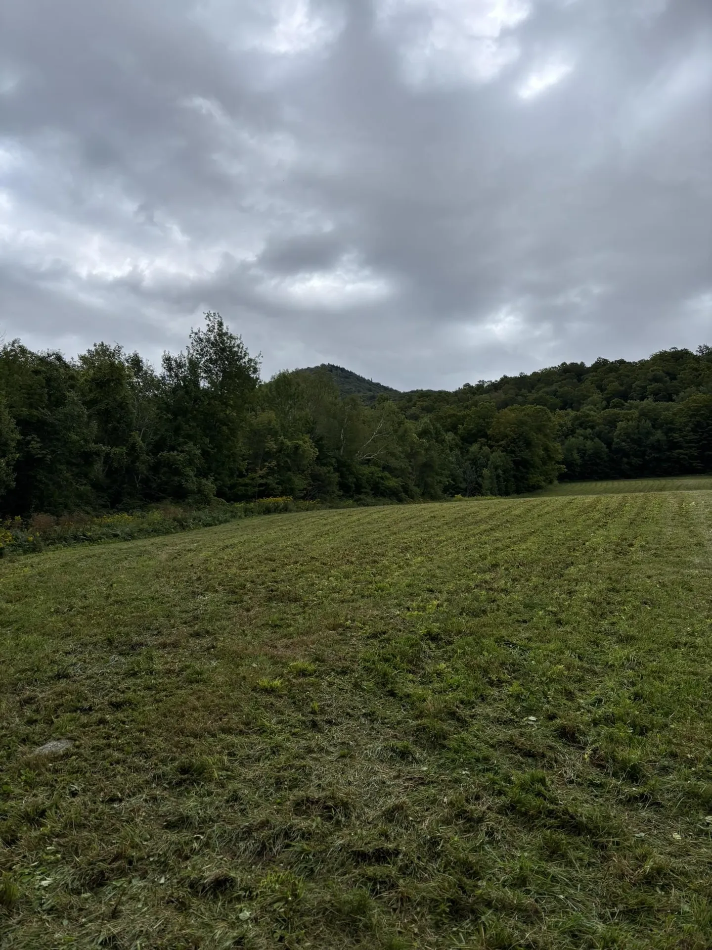 942 Route 315 Rupert VT 05768