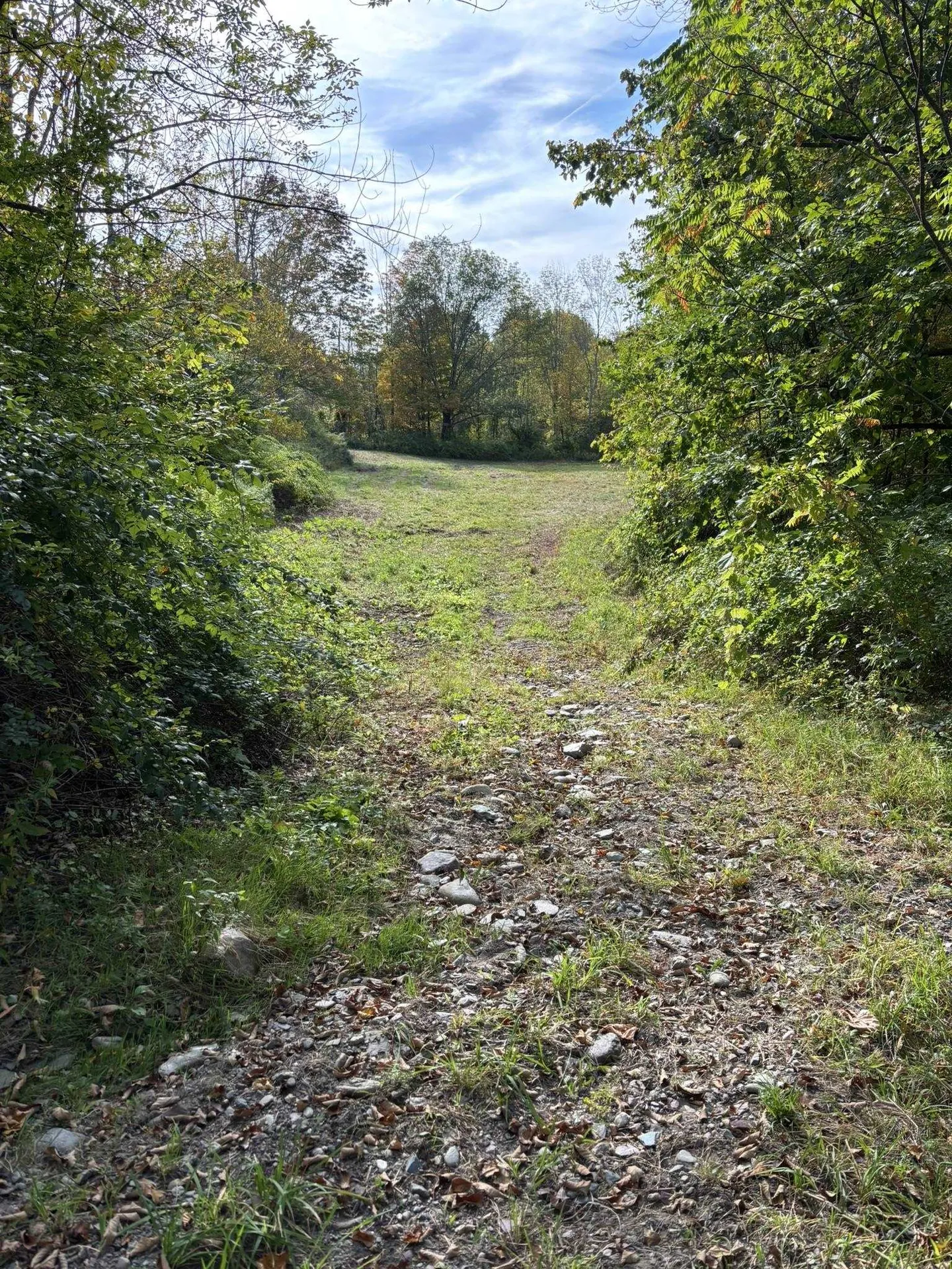 942 Route 315 Rupert VT 05768