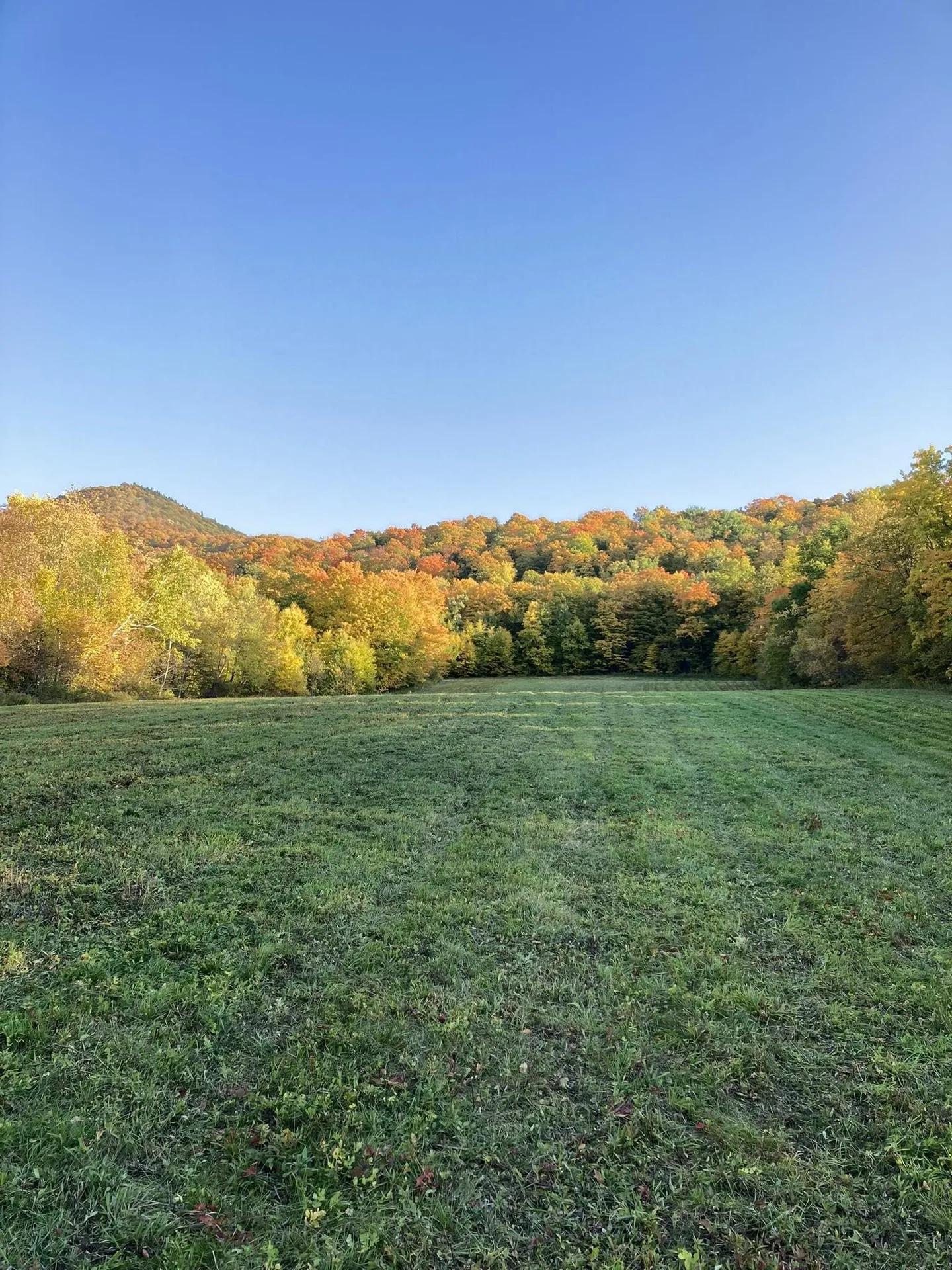 942 Route 315 Rupert VT 05768