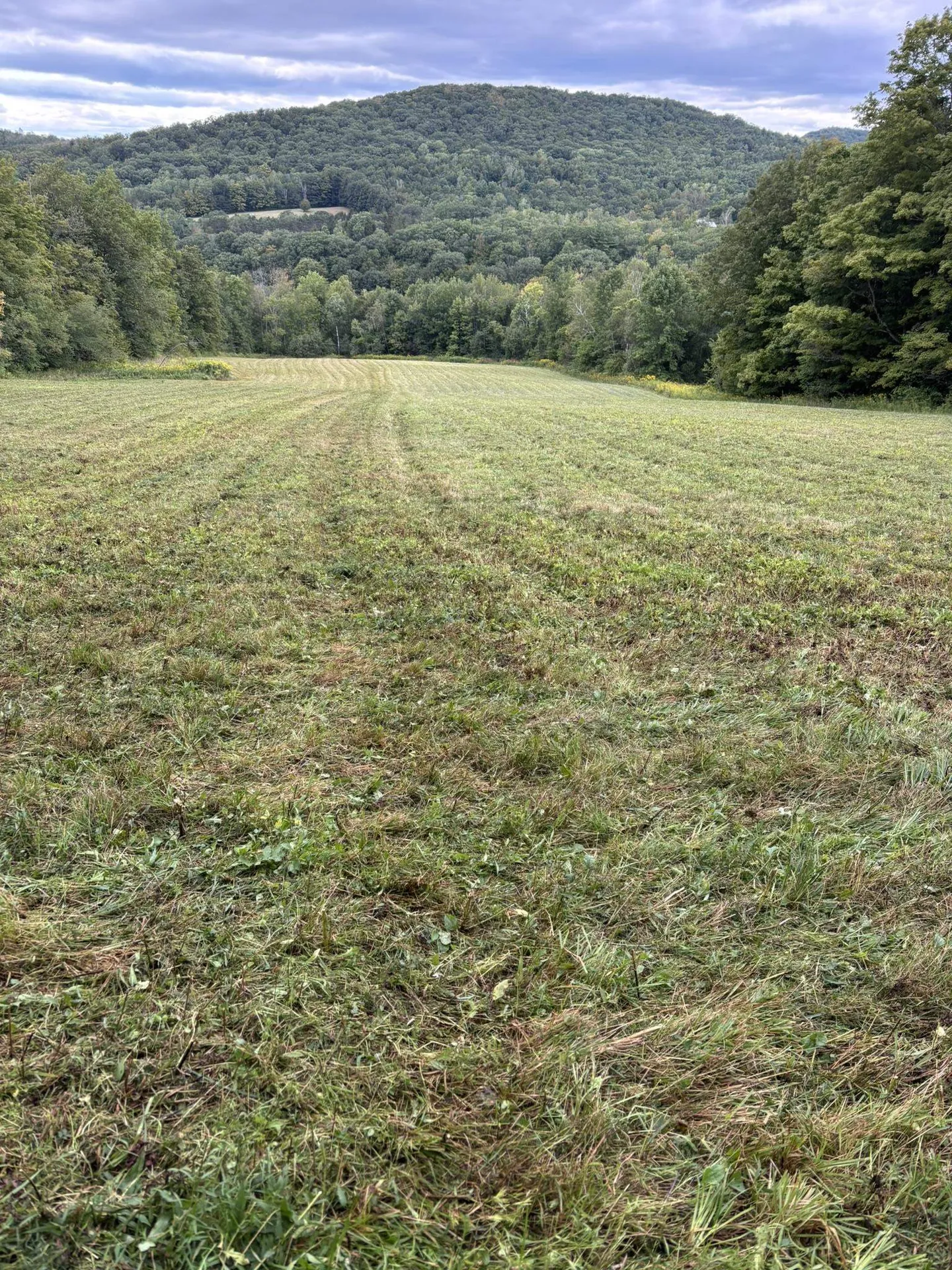 942 Route 315 Rupert VT 05768