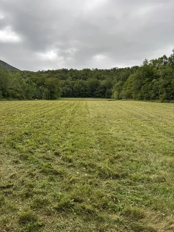 942 Route 315 Rupert VT 05768