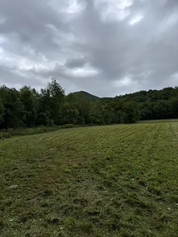 942 Route 315 Rupert VT 05768