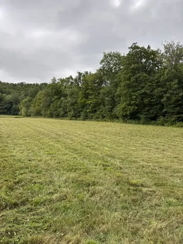 942 Route 315 Rupert VT 05768