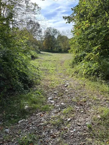 942 Route 315 Rupert VT 05768