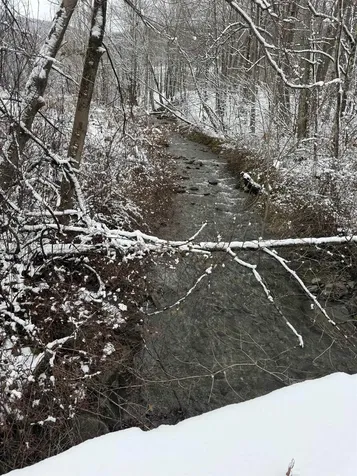 942 Route 315 Rupert VT 05768