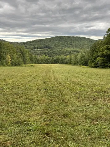 942 Route 315 Rupert VT 05768