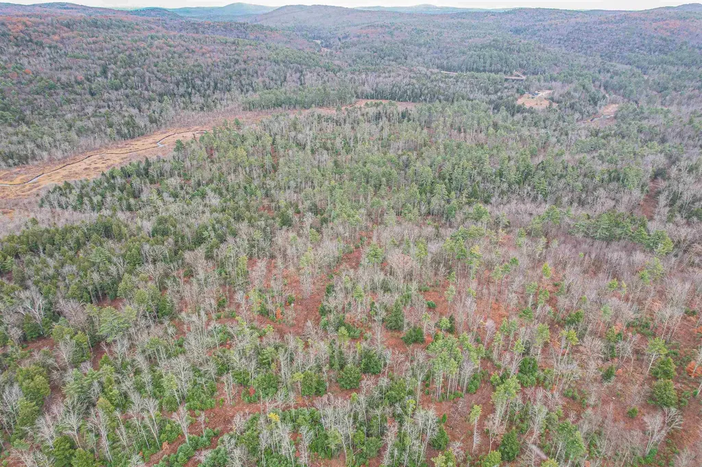 Lot 13 East Deering Road Deering NH 03244