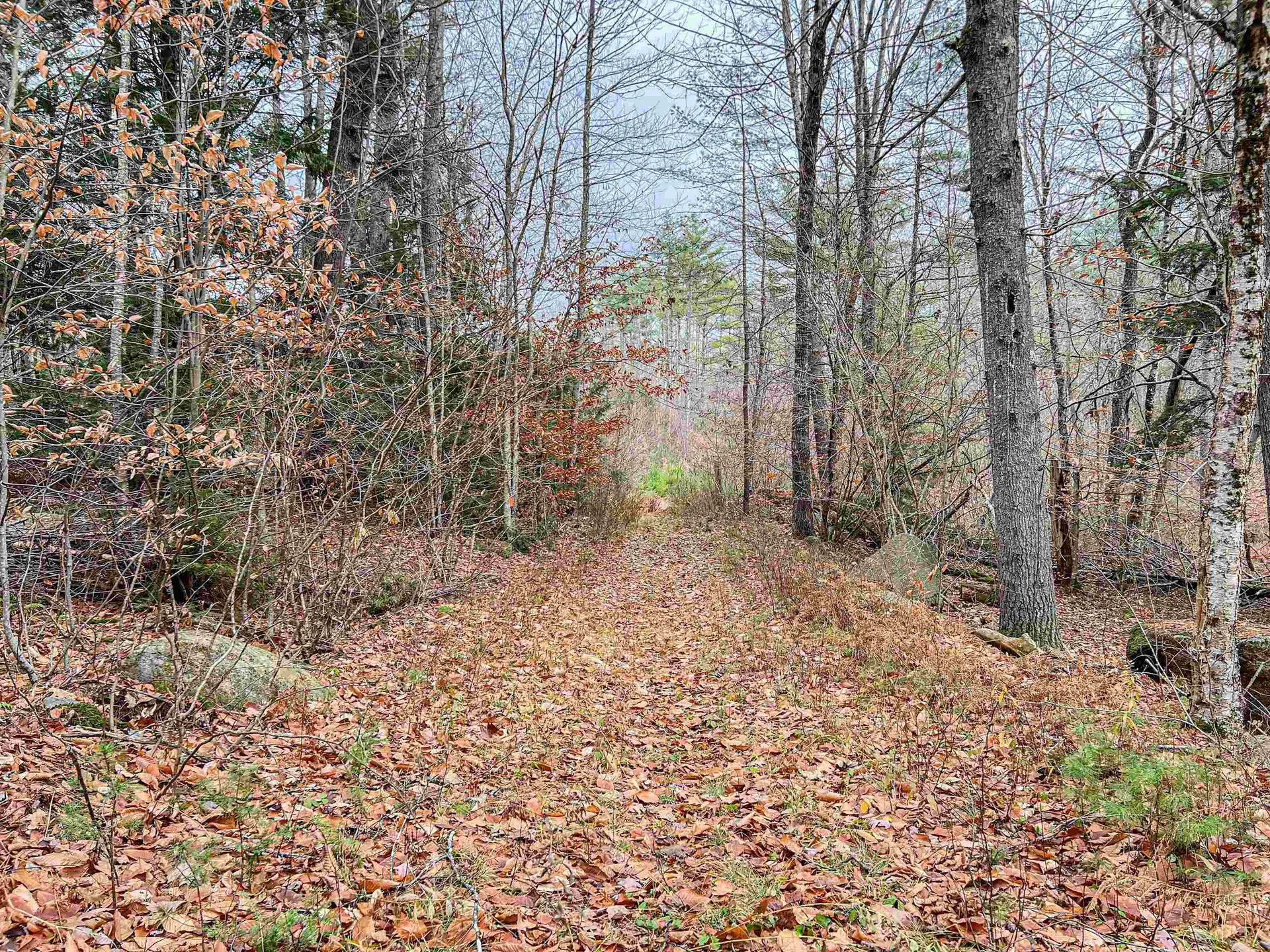 Lot 13 East Deering Road Deering NH 03244