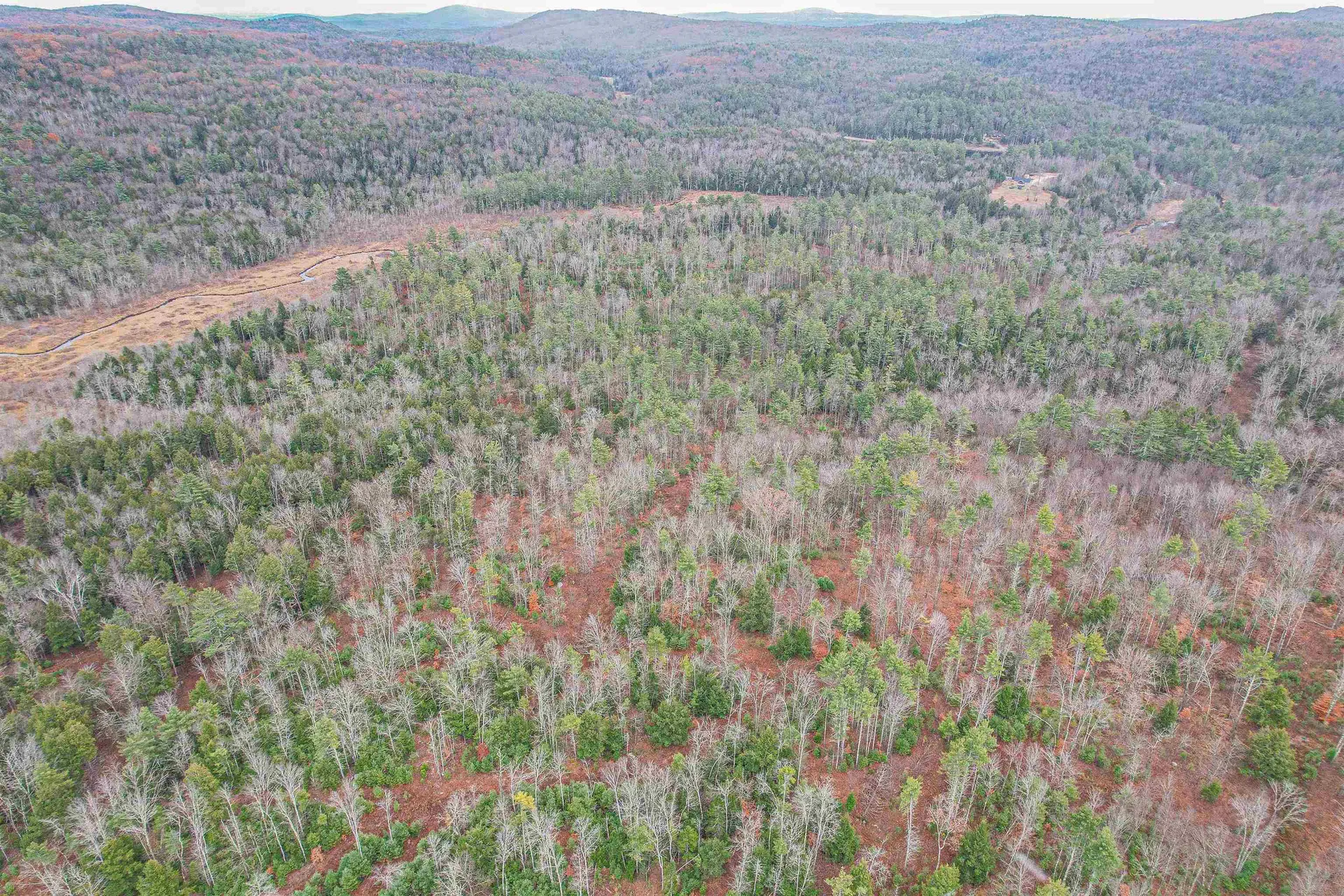 Lot 13 East Deering Road Deering NH 03244