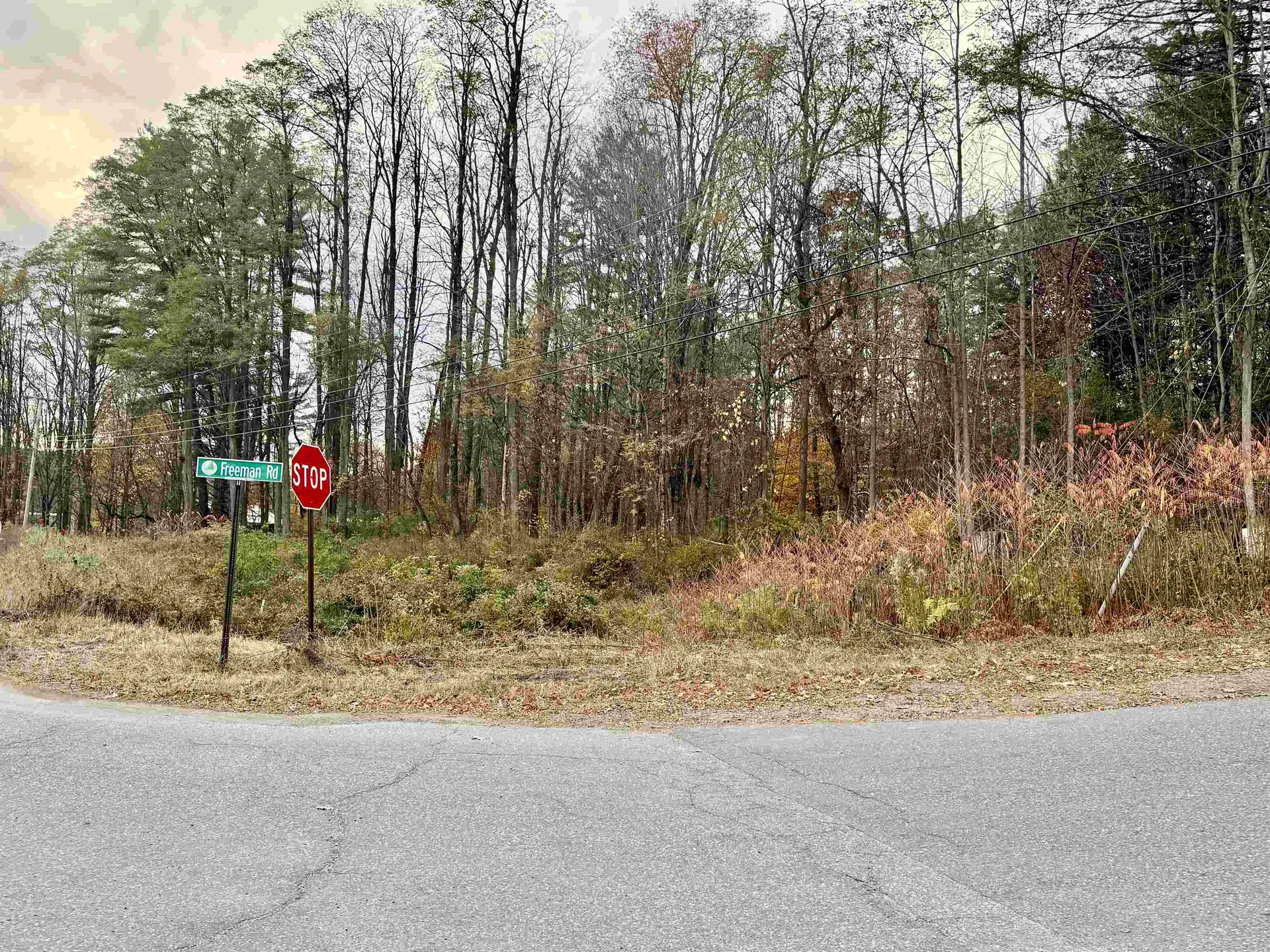 0 Freeman Hill Road Plainfield NH 03781