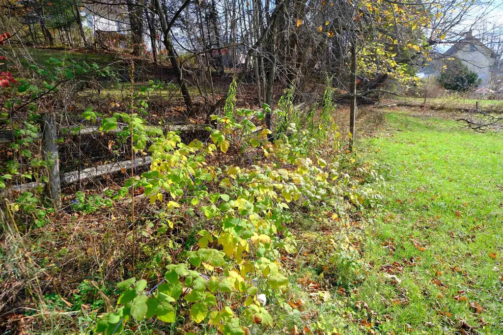 194 Charles Street Lyndon VT 05851