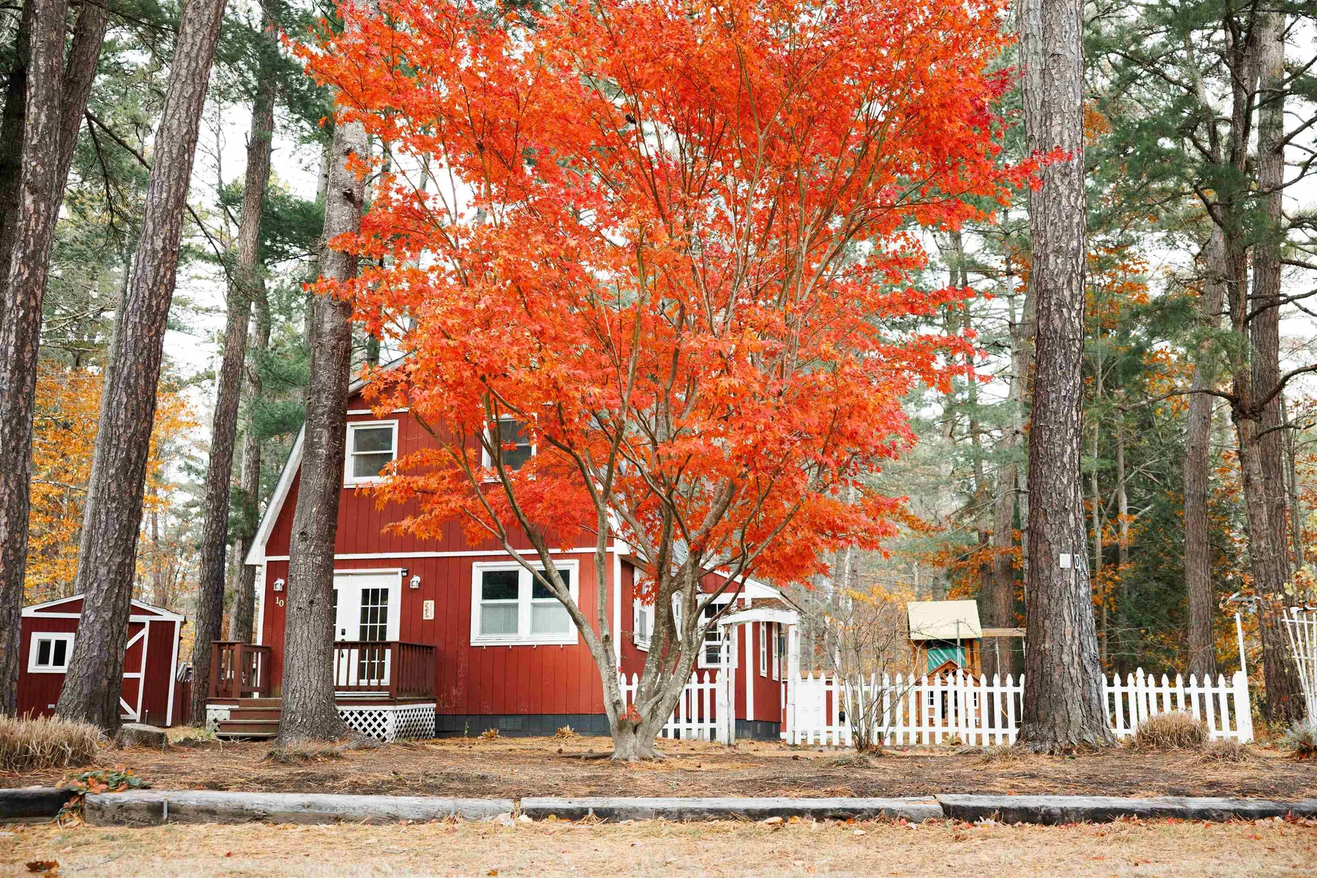 10 Margo Lane Tamworth NH 03817