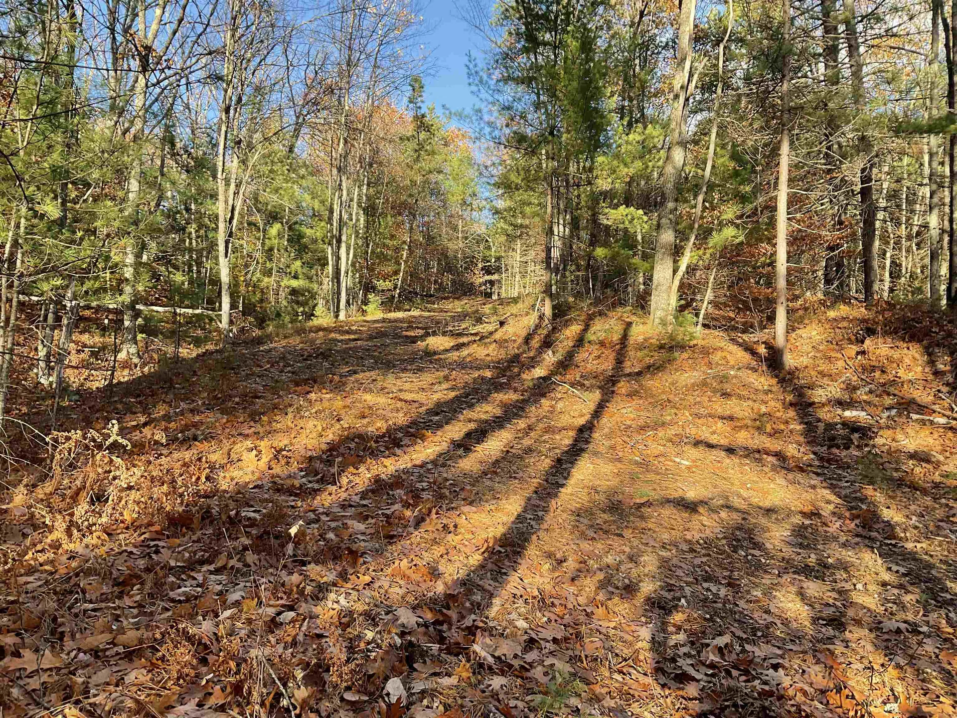 29C Shepherd River Road Brownfield ME 04010