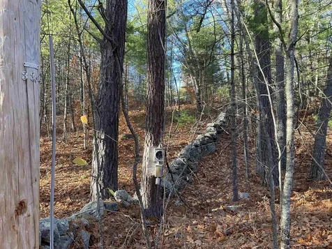 29C Shepherd River Road Brownfield ME 04010